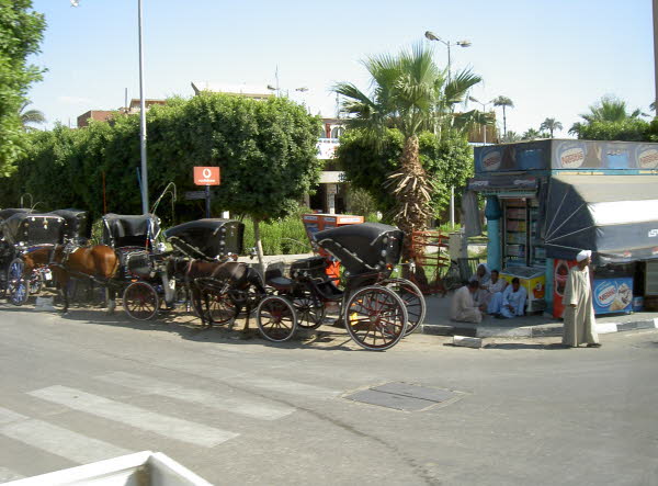Kutschen in Luxor