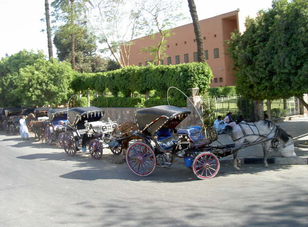 Taxi-Kutschen in Luxor